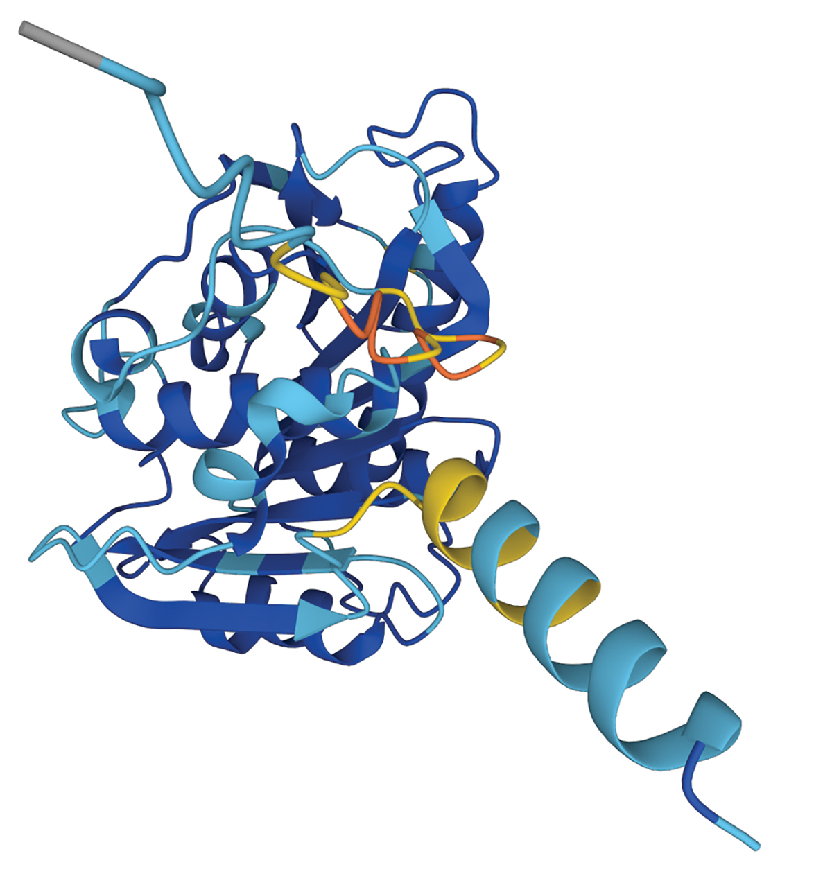 Protein Illustration