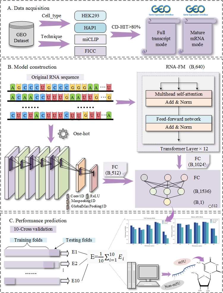 Protein Illustration